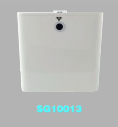 S10013