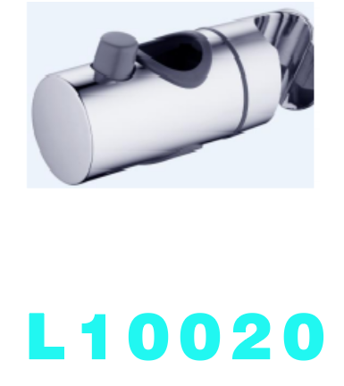 L10020