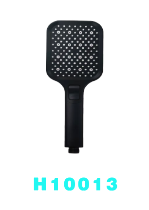 H10013