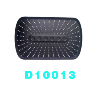 D10013
