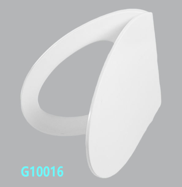 G10016
