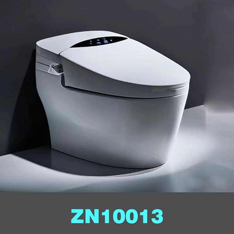 Intelligent toilet