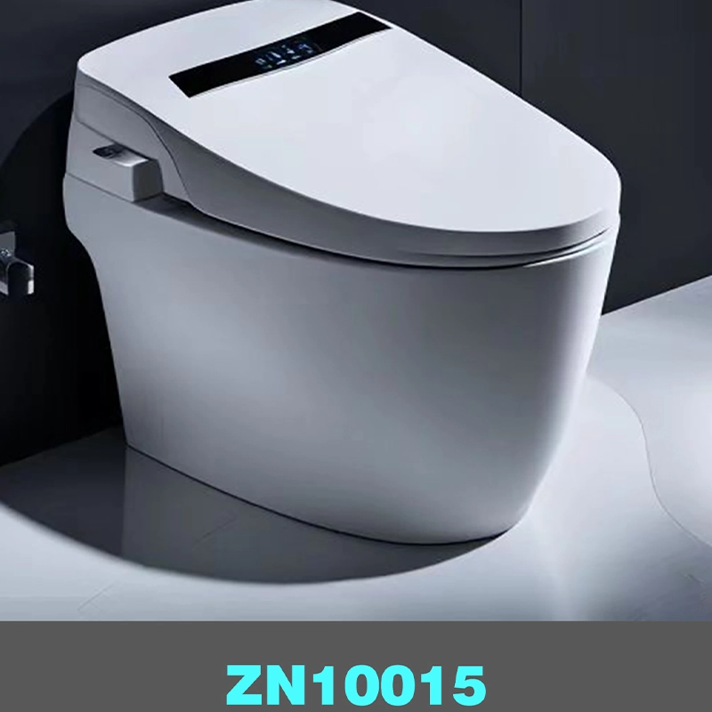 Intelligent toilet