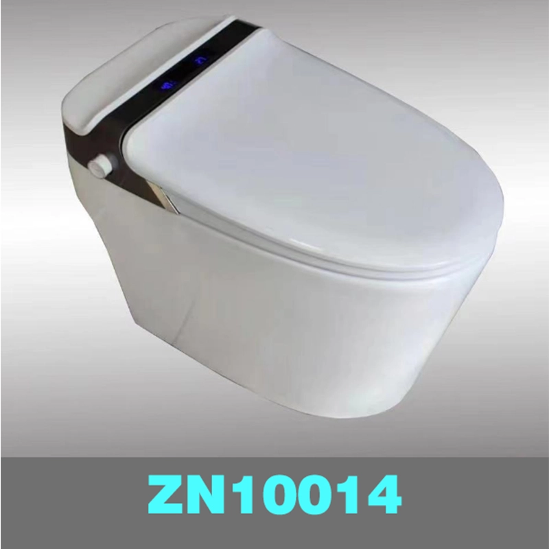 Intelligent toilet