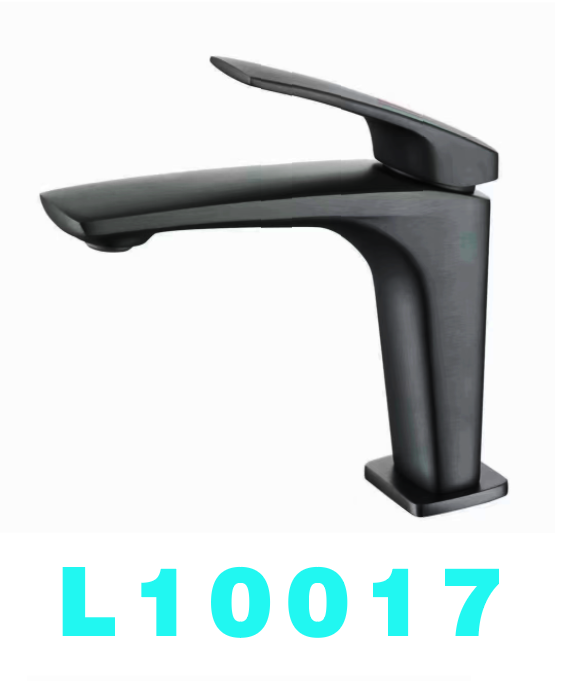 L10017