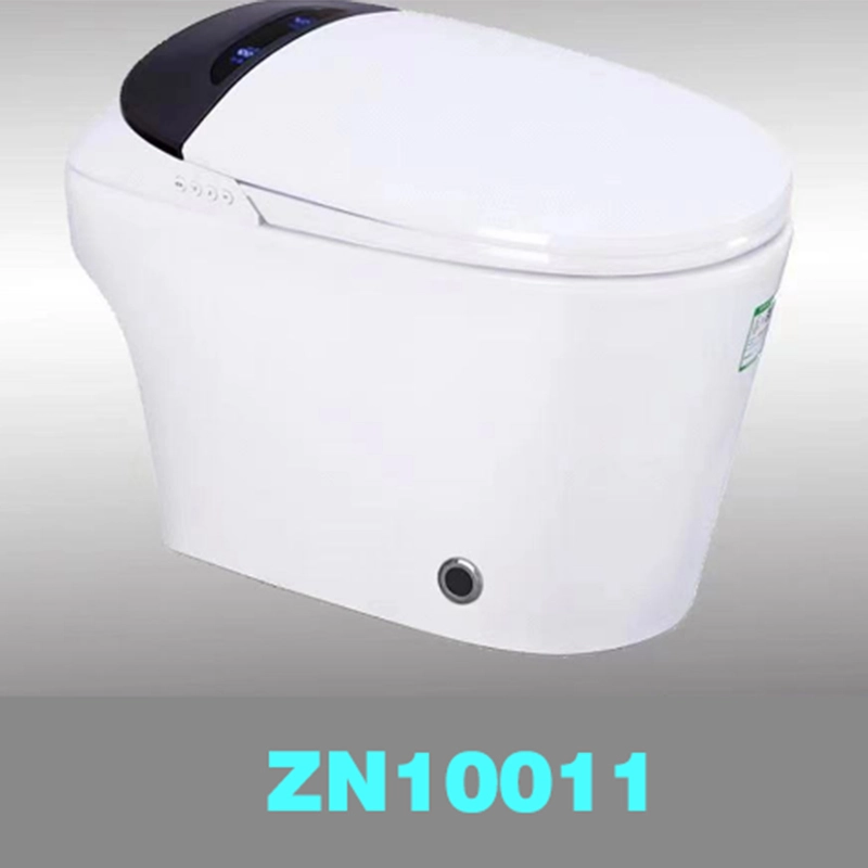 Intelligent toilet