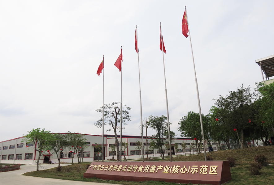廣西龍州北部灣現(xiàn)代農(nóng)業(yè)有限公司