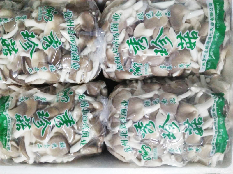 秀珍菇