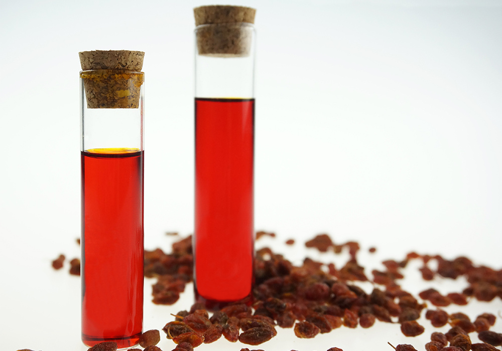 The Nutritional Powerhouse: Exploring Hippophae Rhamnoides and Its Role in Edible Oils