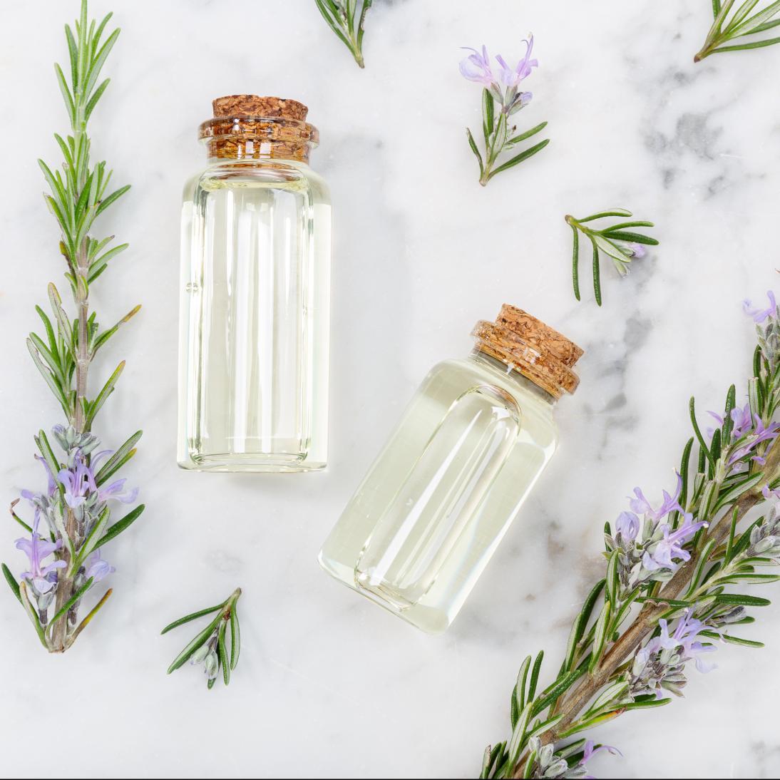 A Comprehensive Overview of Rosemary Extract: Benefits and Applications in the Pharmaceutical Industry