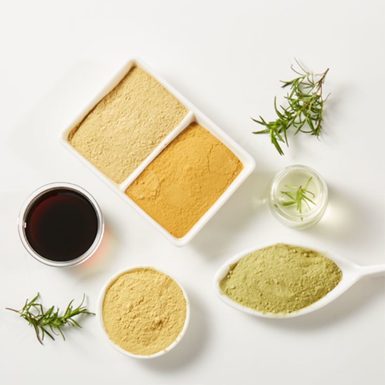 Unlocking the Benefits of Rosemary Extract for Health and Wellness