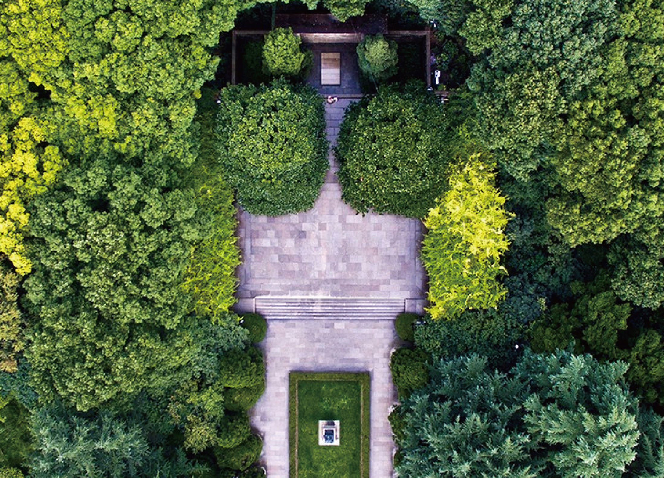 解決土壤貧瘠和含鹽量高