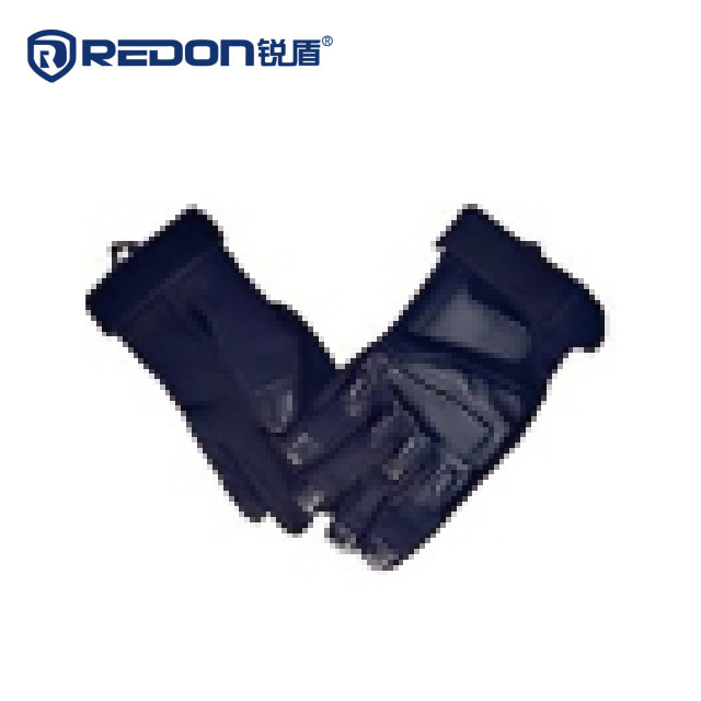 RD-FCST01
