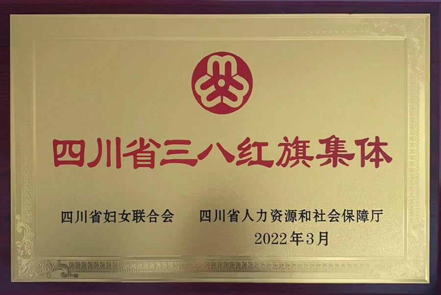 四川省三八红旗集体