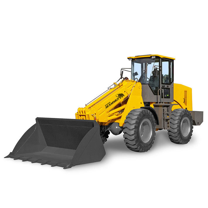 Telescopic loader