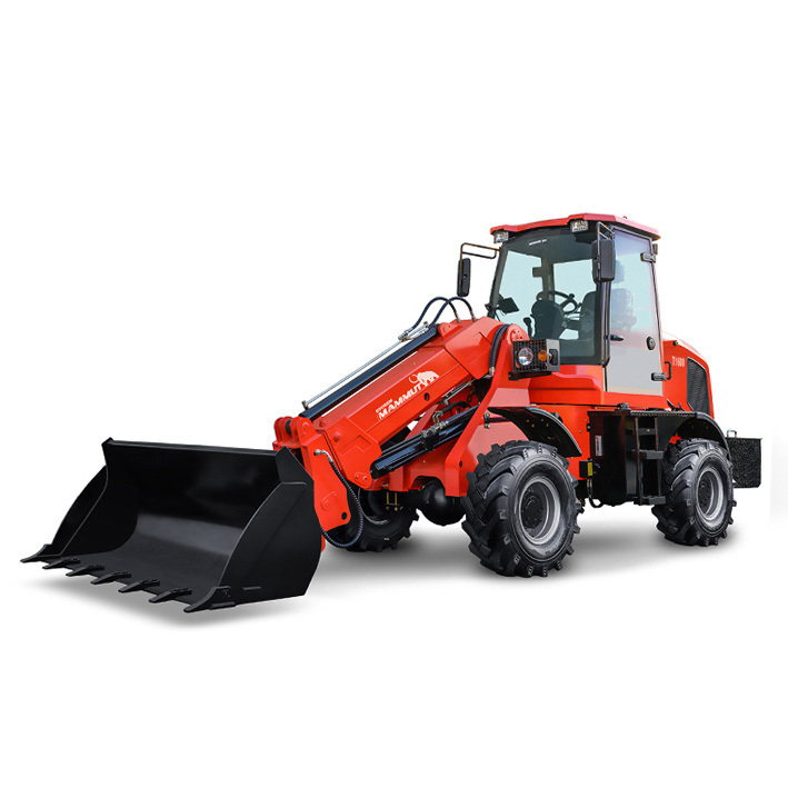 Telescopic loader