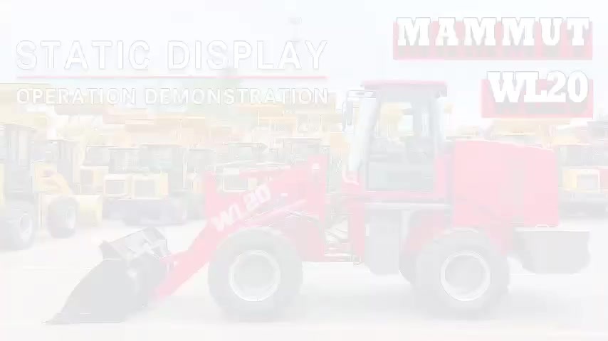 WL20.mp4 WL20.mp4