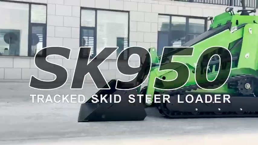 SK950.mp4 SK950.mp4