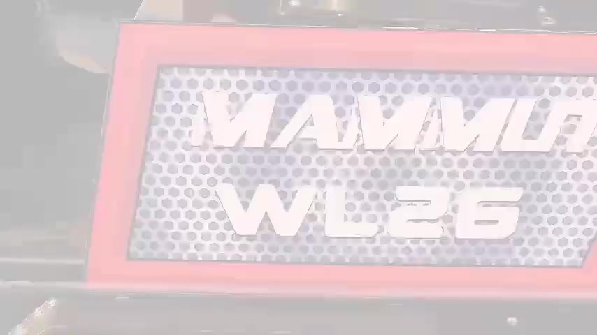 WL26.mp4 WL26.mp4