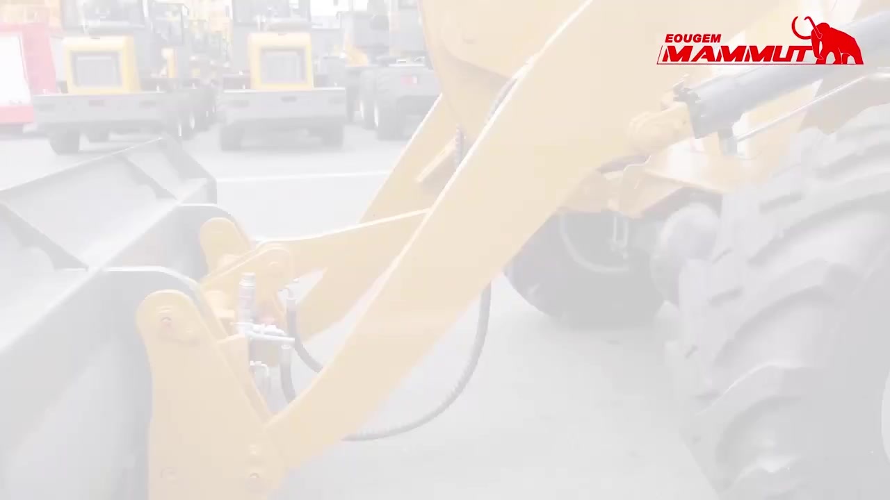 WL16.mp4 WL16.mp4