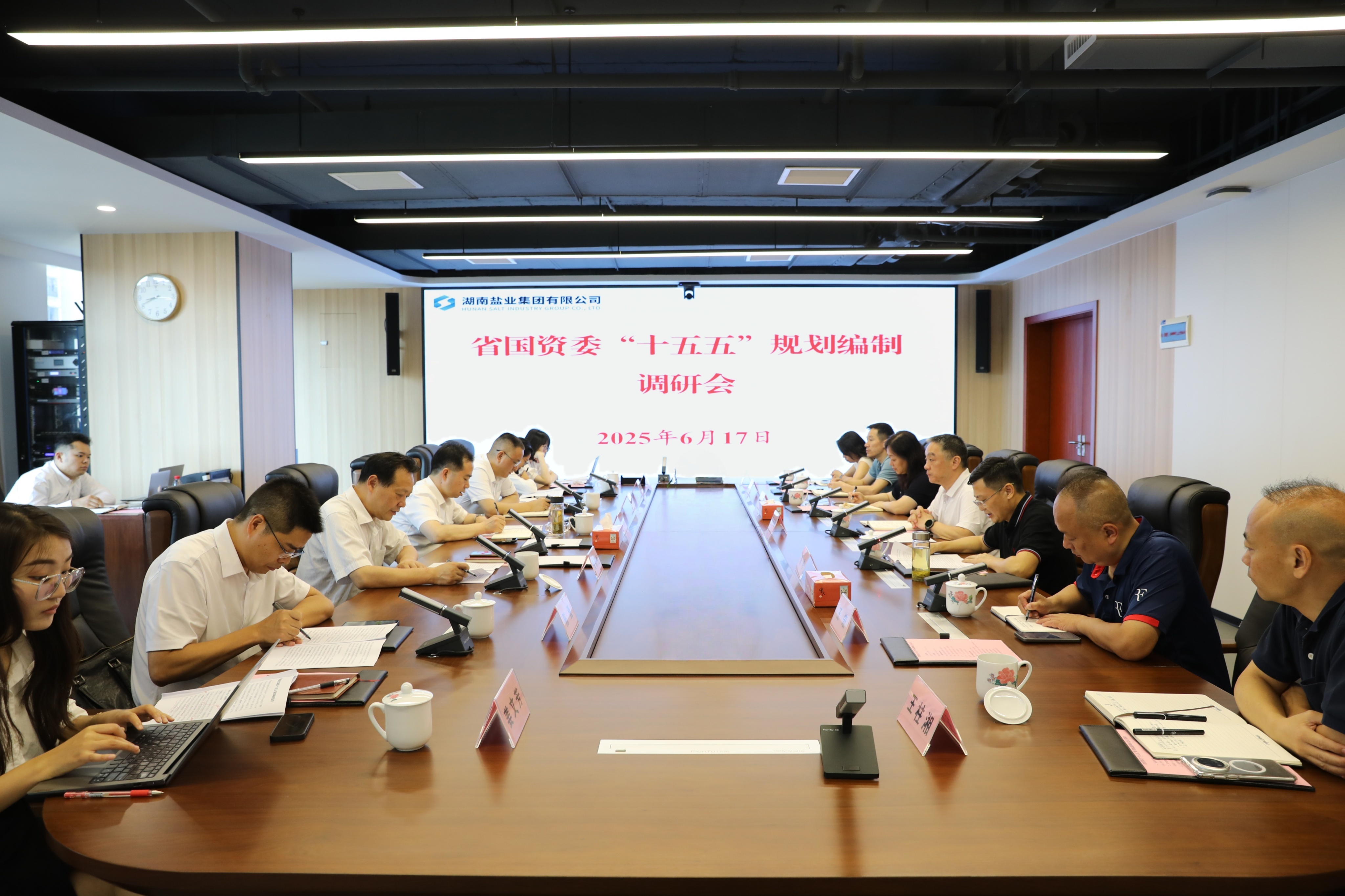 省国资委调研指导湖南盐业集团“十五五”规划编制工作