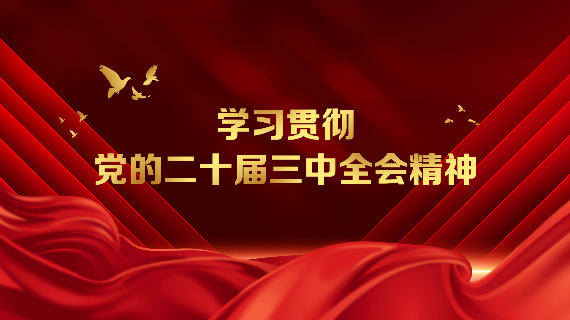 学习贯彻党的二十届三中全会精神
