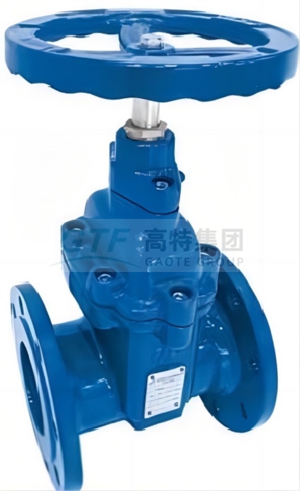 Soft seal gate valve (rising stem)