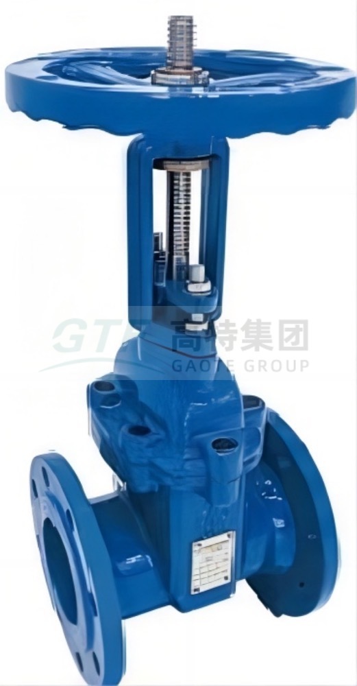 Soft Seal Gate Valve (Rising Stem)