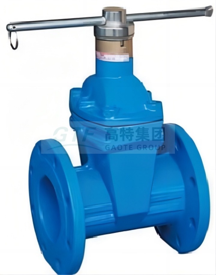 Magnetically encrypted anti-theft soft seal gate valve