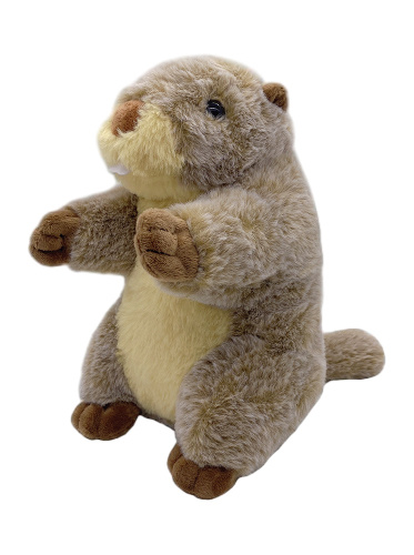 Discover the Charm of Marmot Animal Plush Toys Discover the Charm of Marmot Animal Plush Toys