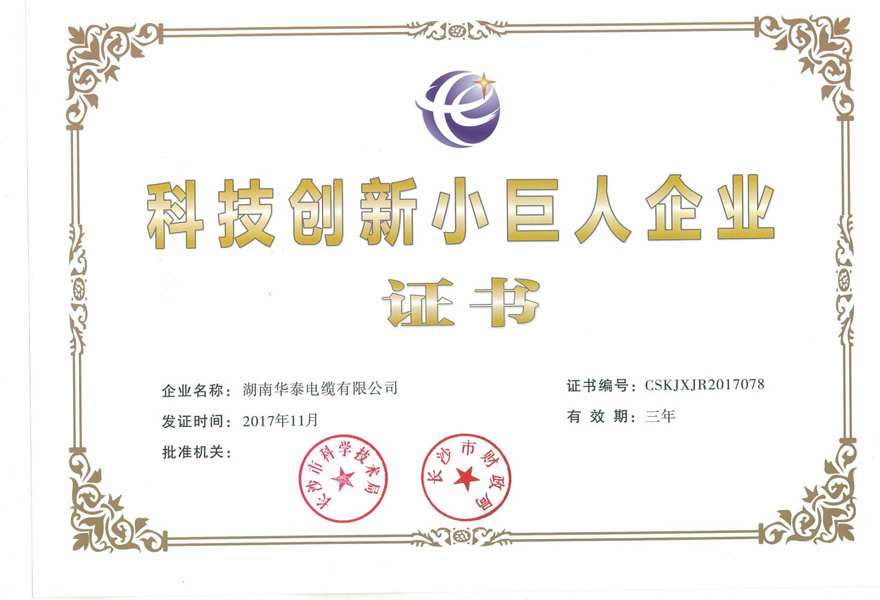 Certificate of Science and Technology Innovation Little Giant Enterprise Certificate of Science and Technology Innovation Little Giant Enterprise