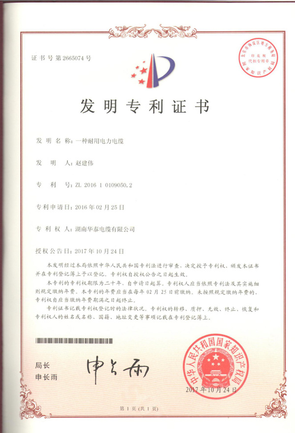patent for invention