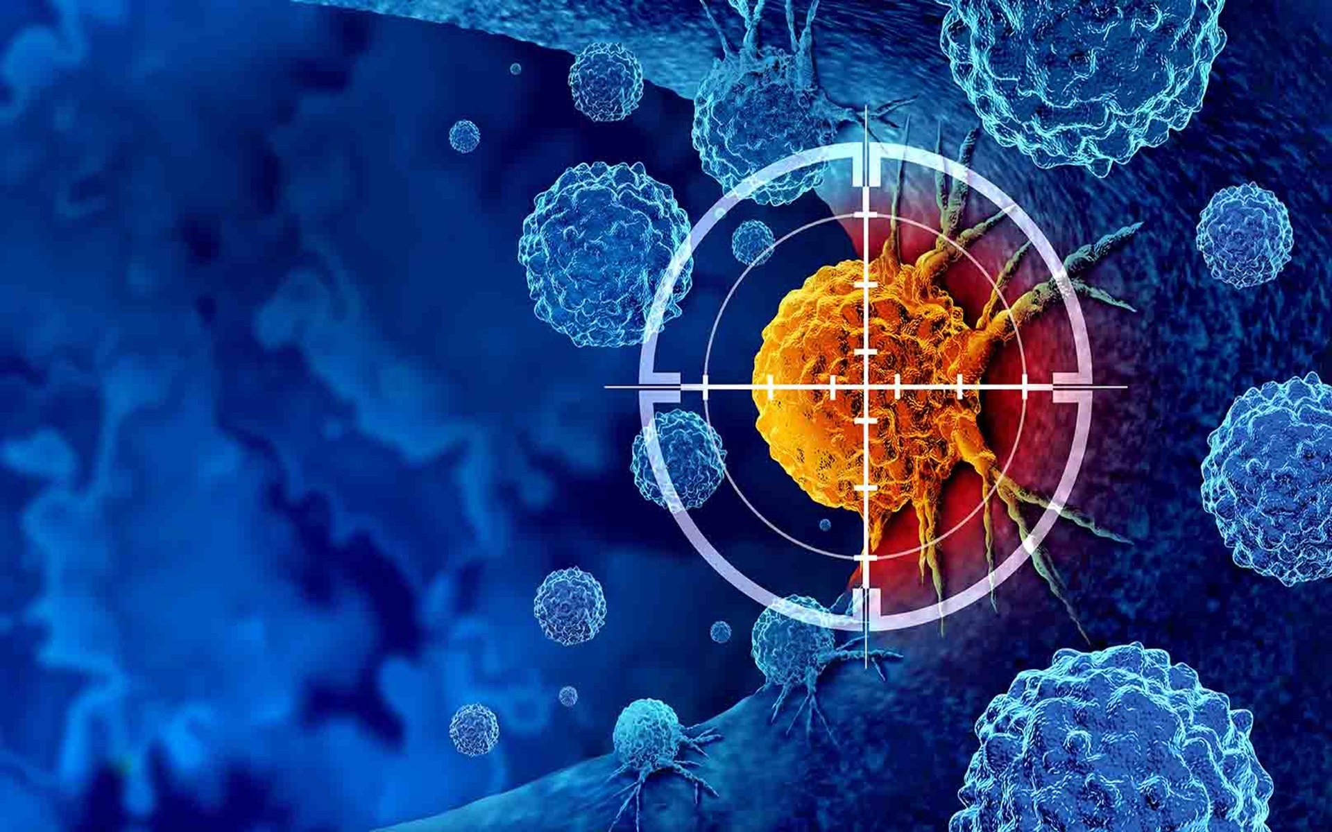 Newest fisetin benefits customized