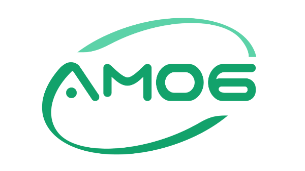 AM06 ™