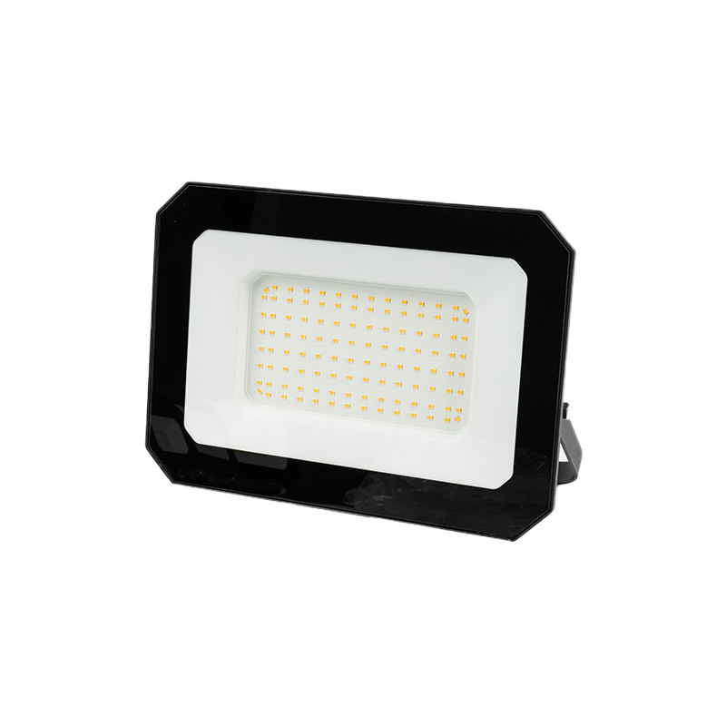 Lumière d'inondation J-FL001-100W