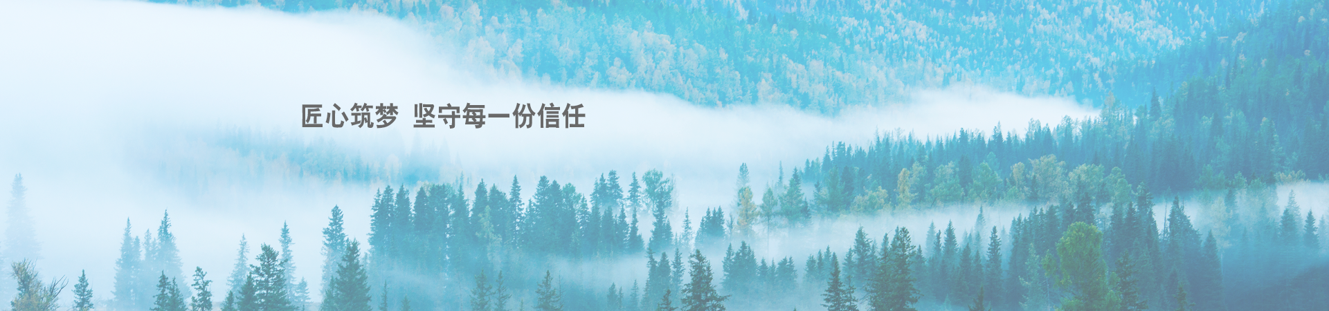 成功案例