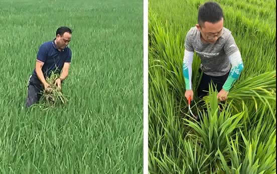 新安質量 由我守望
