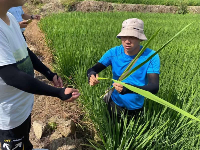 新安質量 由我守望