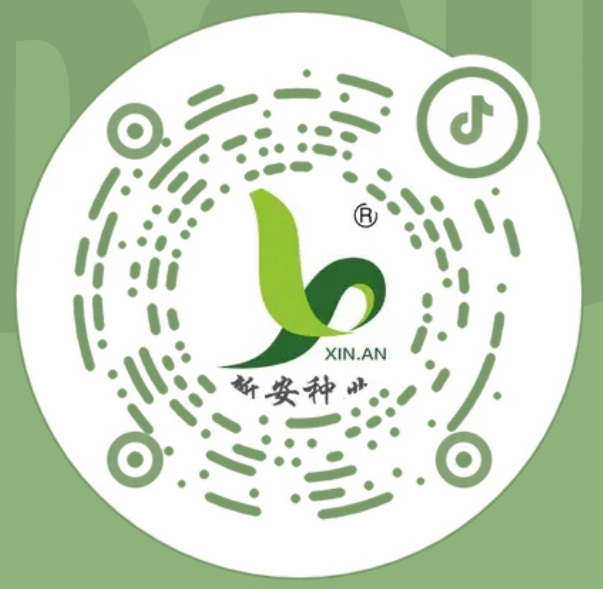 鎶栭煶 鎶栭煶