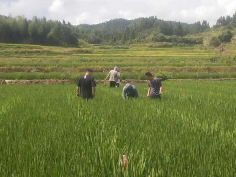 新安質量 由我守望