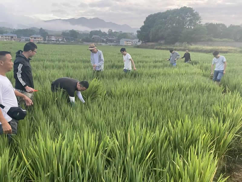 新安質量 由我守望