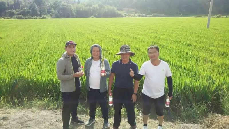 新安質量 由我守望