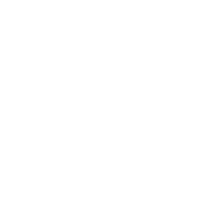 电力