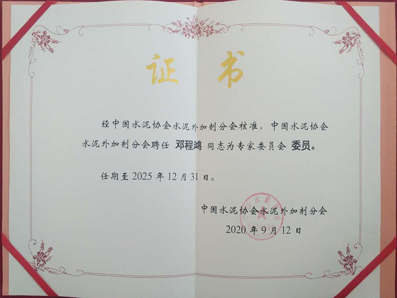 邓程鸿-专家委员会委员 邓程鸿-专家委员会委员