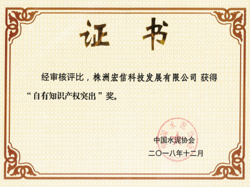 自有知识产权突出奖 自有知识产权突出奖