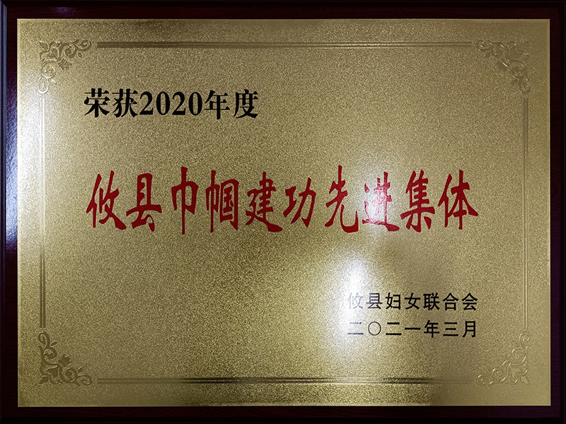 攸县巾帼建功先进集体 攸县巾帼建功先进集体