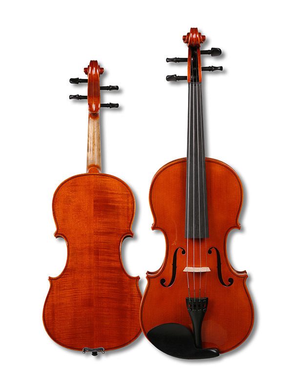 Viola D grade