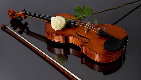 How to avoid accidental damage to the violin