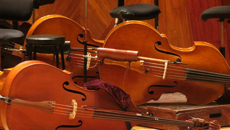 How to buy a violin, buy handmade violin points for attention