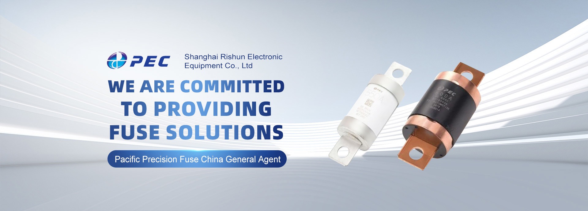 Shanghai RISHUN Electronic Equipment Co., Ltd